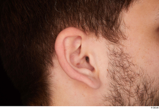 Hamza ear 0002.jpg